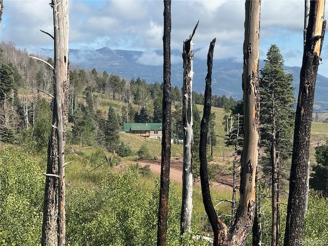 LOT775 Forbes Park Rd, Fort Garland, CO 81133