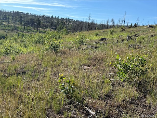 LOT775 Forbes Park Rd, Fort Garland, CO 81133