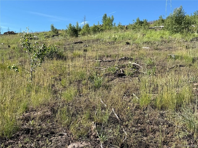 LOT775 Forbes Park Rd, Fort Garland, CO 81133