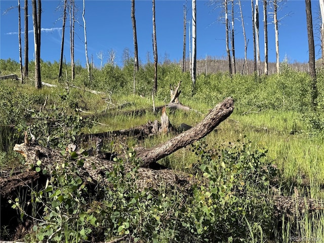 LOT775 Forbes Park Rd, Fort Garland, CO 81133