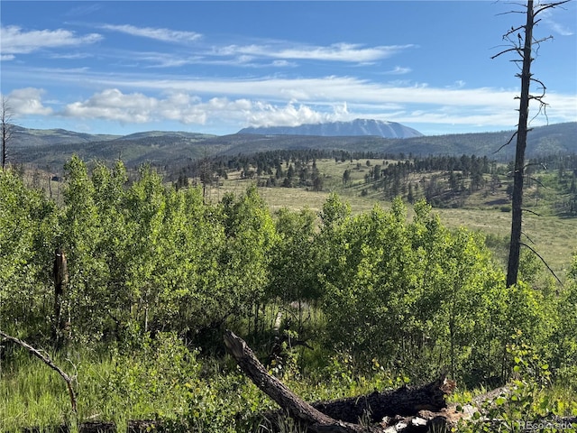 LOT775 Forbes Park Rd, Fort Garland, CO 81133