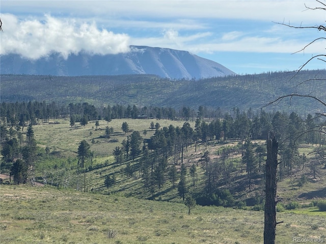 LOT775 Forbes Park Rd, Fort Garland, CO 81133