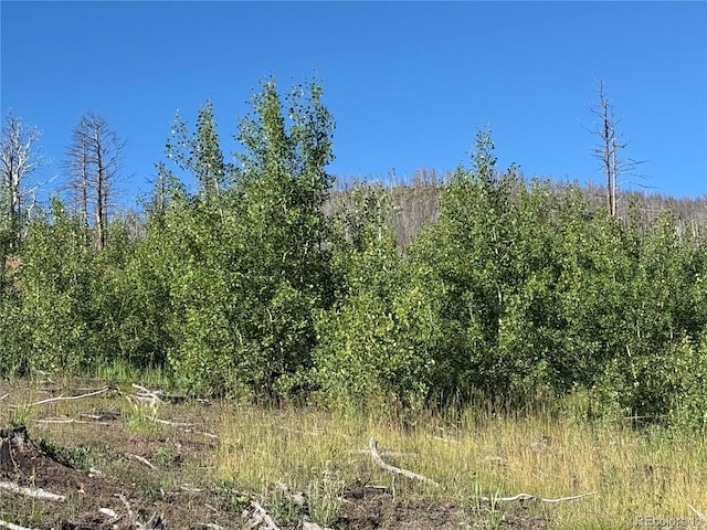 LOT775 Forbes Park Rd, Fort Garland, CO 81133