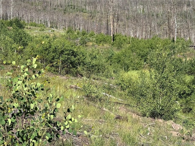 LOT775 Forbes Park Rd, Fort Garland, CO 81133