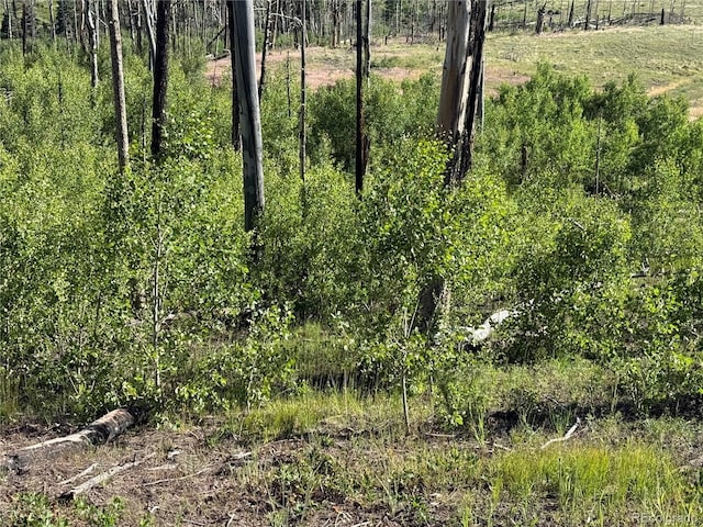 LOT775 Forbes Park Rd, Fort Garland, CO 81133