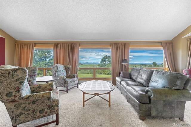 30999 Kootney St, Elizabeth, CO 80107 - photo 5