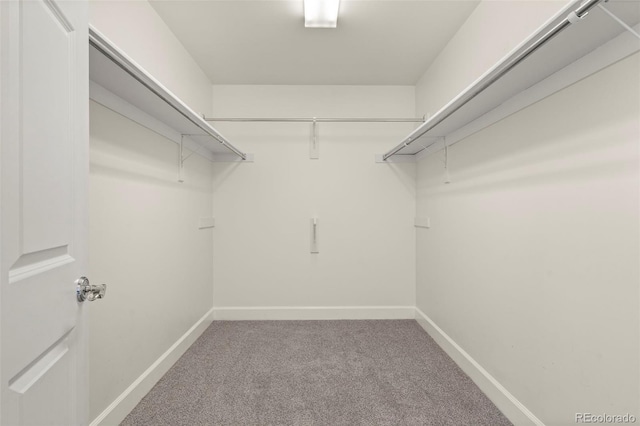 spacious closet with carpet floors