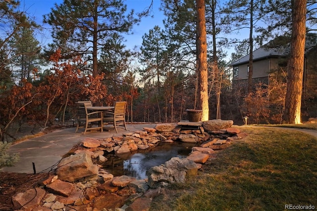 view of yard with a patio