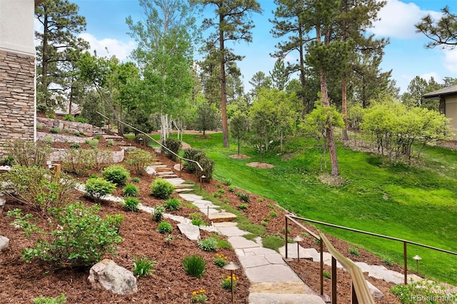 646 Ruby Trust Dr, Castle Rock, CO 80108 - view of yard