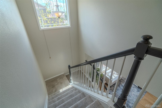 2908 Open Sky Way, Castle Rock, CO 80109 - stairs featuring carpet flooring and a textured wall