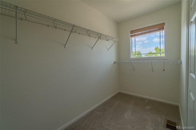 2908 Open Sky Way, Castle Rock, CO 80109 - spacious closet featuring carpet