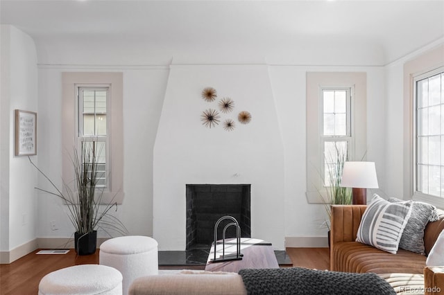 living room with hardwood / wood-style floors