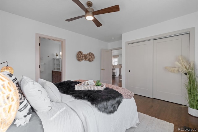 bedroom featuring ceiling fan, connected bathroom, dark hardwood / wood-style flooring, and a closet