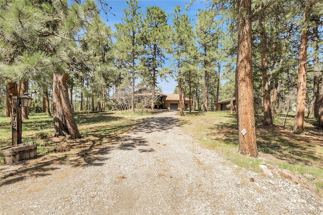8782 S Ault Ln, Morrison, CO 80465 - view of dirt / gravel road