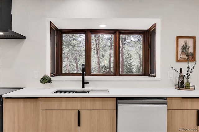 8782 S Ault Ln, Morrison, CO 80465 - kitchen featuring dishwasher, a sink, wall chimney exhaust hood, and light countertops