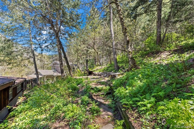 41 Silver Spruce, Boulder, CO 80302 - view of yard