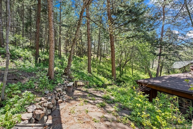 41 Silver Spruce, Boulder, CO 80302 - view of yard featuring a forest view