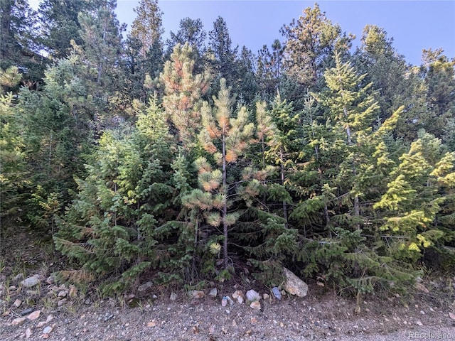 Divide View Dr, Idaho Springs CO, 80452 land for sale