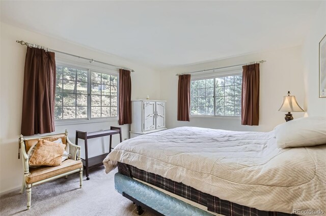 bedroom featuring carpet floors and multiple windows