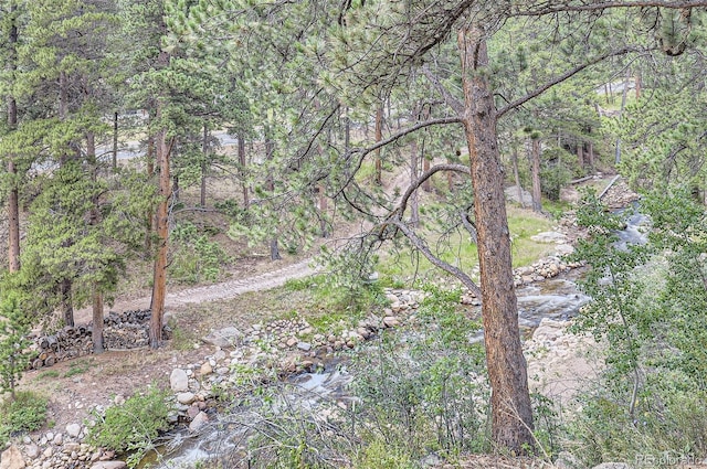 view of landscape with a forest view