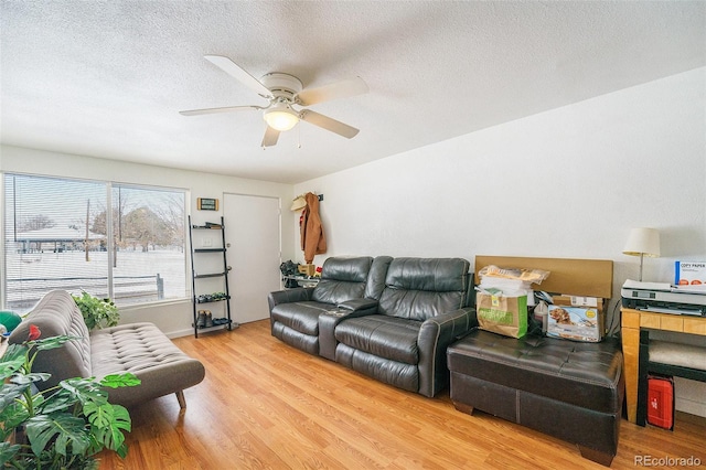 living room featuring ceiling fan, light hardwood / wood-style floors, and a textured ceiling