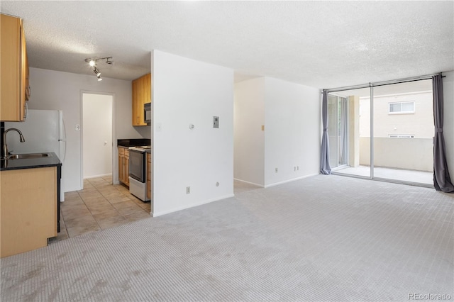 850 20th St Unit 201, Boulder, CO 80302 - unfurnished living room featuring a textured ceiling, light colored carpet, a sink, and baseboards