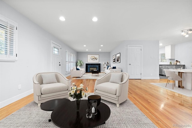 living room featuring light hardwood / wood-style floors