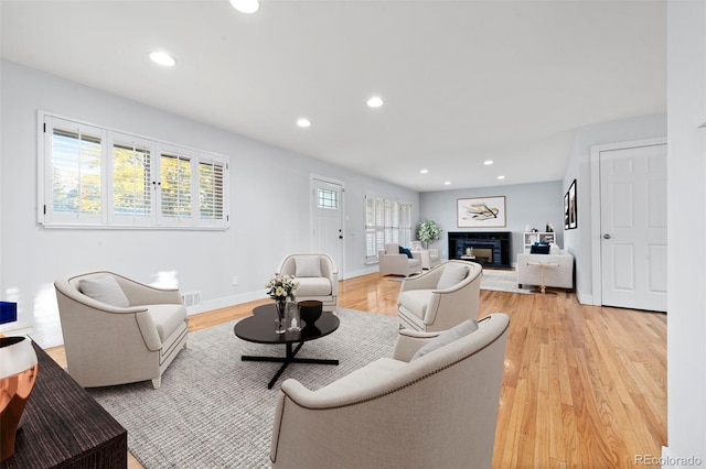 living room featuring light hardwood / wood-style floors