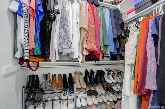 view of spacious closet