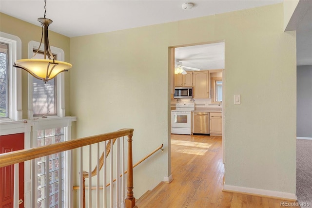 7065 S Willow St, Centennial, CO 80112 - photo 6