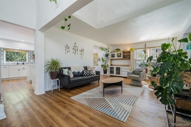 living room featuring hardwood / wood-style flooring