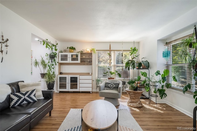 living room with a healthy amount of sunlight and wood-type flooring