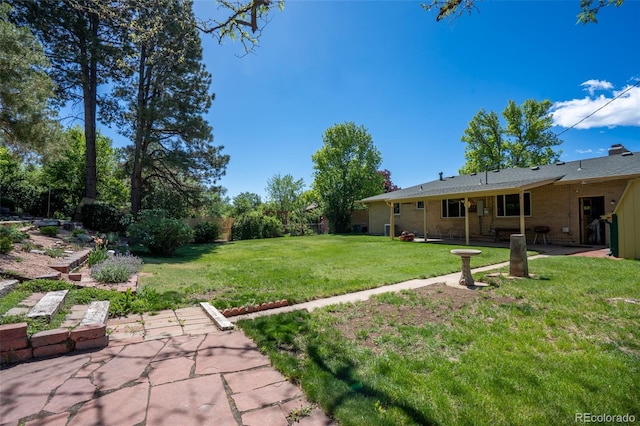 2744 S Newton Way, Denver, CO 80236 - view of yard featuring a patio
