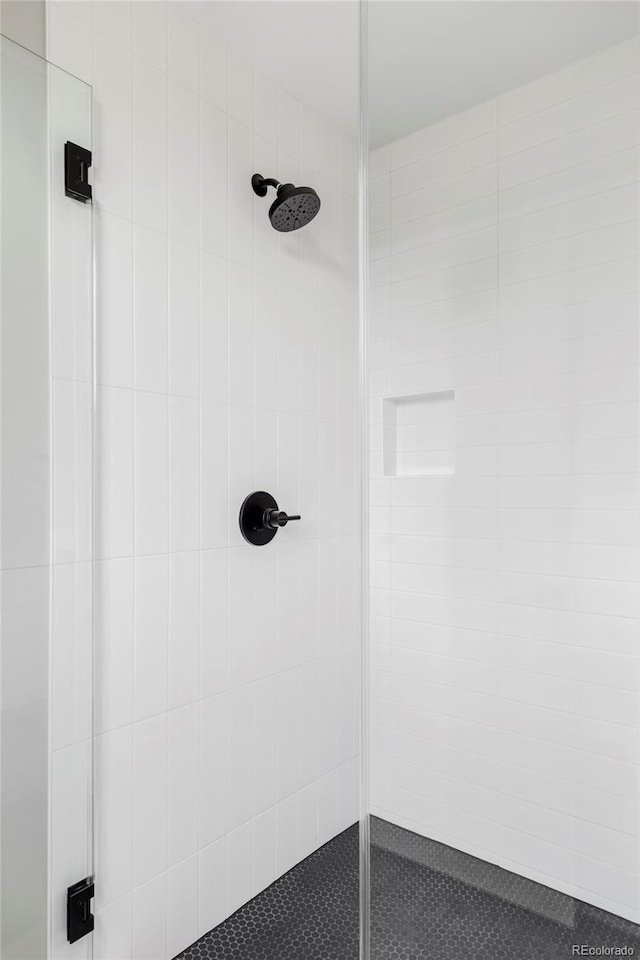 1543 Glencoe St, Denver, CO 80220 - bathroom view of tiled shower