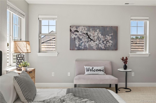 6877 Northstar Ct, Castle Rock, CO 80108 - living area featuring plenty of natural light and carpet