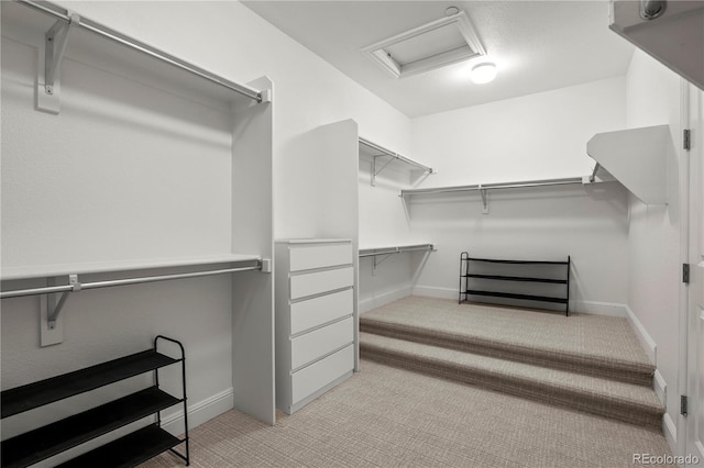 6877 Northstar Ct, Castle Rock, CO 80108 - spacious closet with light colored carpet and attic access