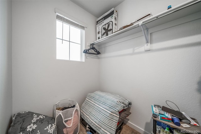 walk in closet with carpet floors