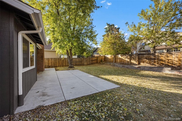 view of yard featuring a patio area