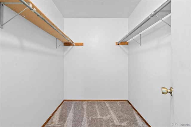 spacious closet with carpet flooring