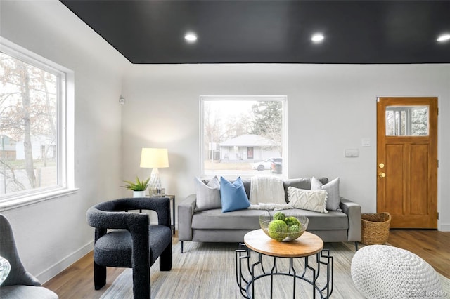 living room featuring a wealth of natural light and light hardwood / wood-style flooring