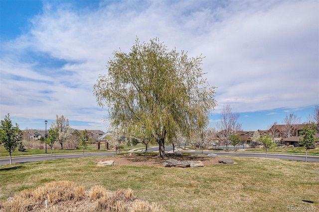 view of yard featuring a residential view