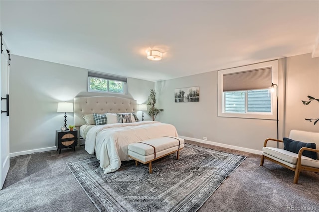 3530 E 8th Ave, Denver, CO 80206 - bedroom featuring carpet floors and a barn door