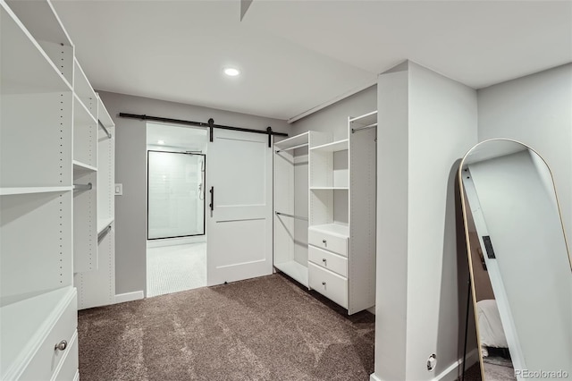 3530 E 8th Ave, Denver, CO 80206 - spacious closet with dark carpet and a barn door