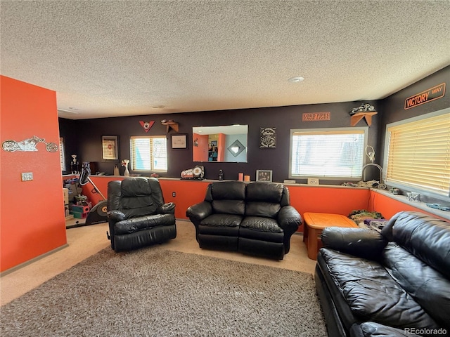 329 6th St, Hugo, CO 80821 - carpeted living room with a textured ceiling