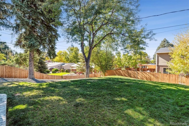 8242 E Briarwood Pl, Centennial, CO 80112 - view of yard