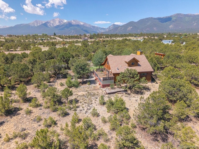 15700 County Road 352, Buena Vista, CO 81211 - view of mountain background