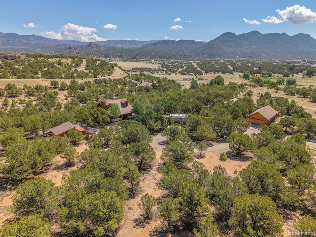 15700 County Road 352, Buena Vista, CO 81211 - aerial view of a mountain backdrop