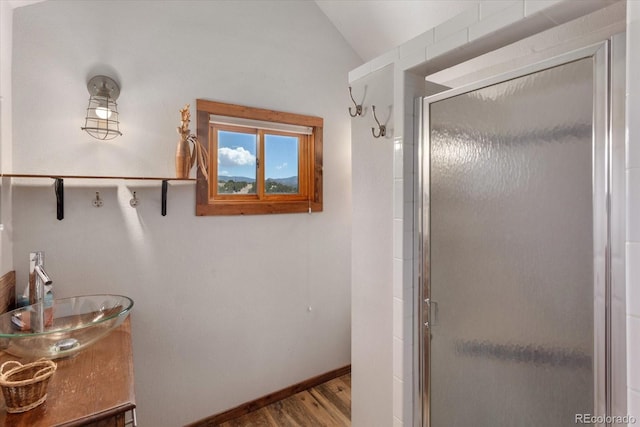 15700 County Road 352, Buena Vista, CO 81211 - full bathroom featuring lofted ceiling, a stall shower, wood finished floors, and vanity