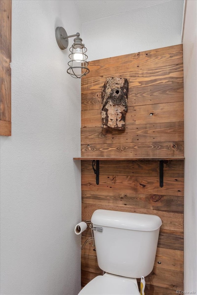 15700 County Road 352, Buena Vista, CO 81211 - bathroom with toilet