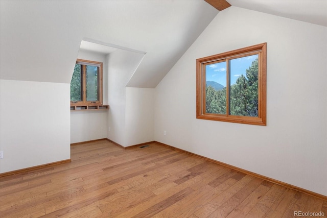 15700 County Road 352, Buena Vista, CO 81211 - bonus room with lofted ceiling, healthy amount of natural light, and light wood-style flooring